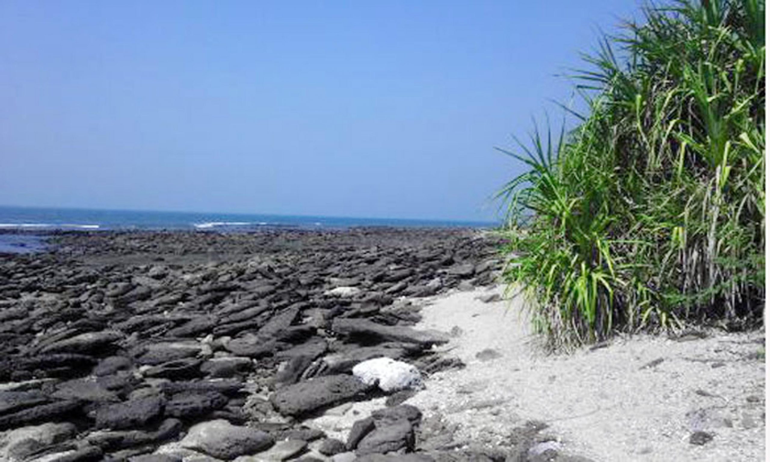 প্রবাল না বাঁচলে থলিয়ে যাবে সেন্টমার্টিন